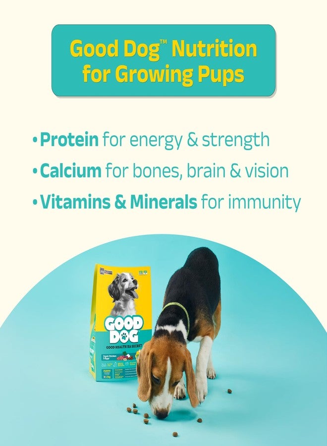 Good Dog Puppy Dry Dog Food | Oven Baked | Fresh Chicken & Eggs | 300g (Pack of 2) | Palatable Meal for Healthy Growth, Strong Bones, Immunity & Digestion | Puppy Food for All Breeds - Image 5